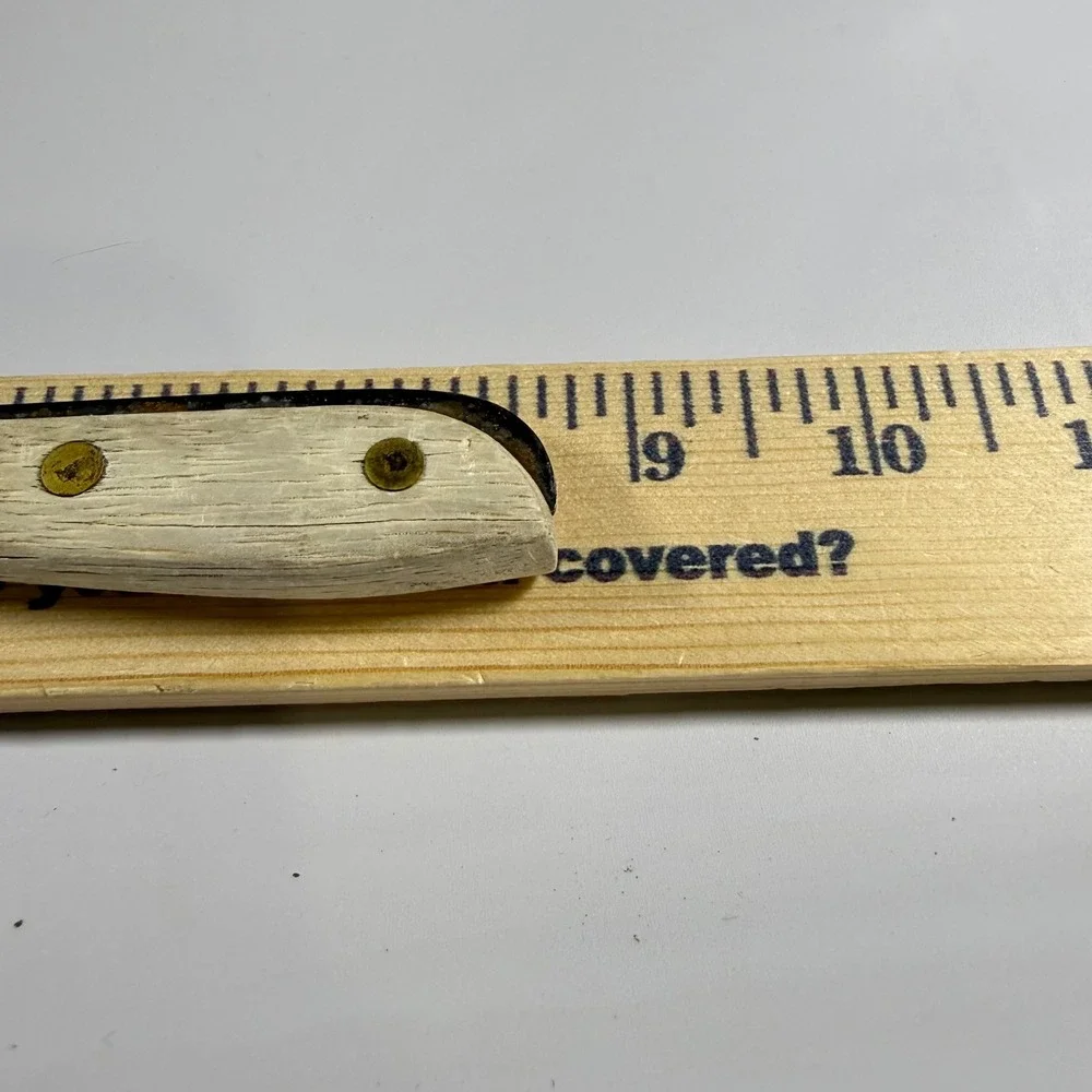 VTG Caesar's Stainless Steal Japan Steak Knife Wooden‎ Handle  Rustic Cabin Core